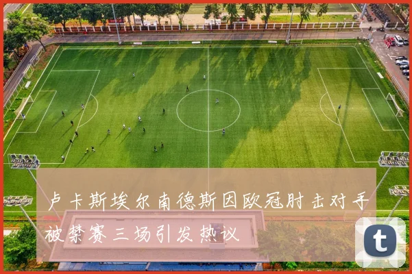 卢卡斯埃尔南德斯因欧冠肘击对手被禁赛三场引发热议